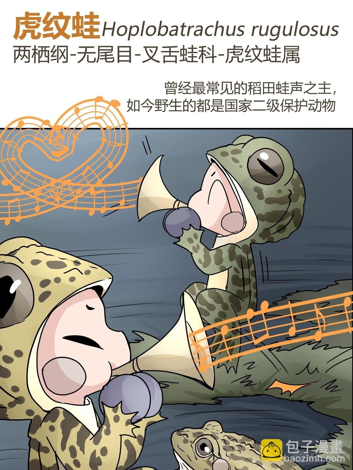 十日谈04：反省会和神展开