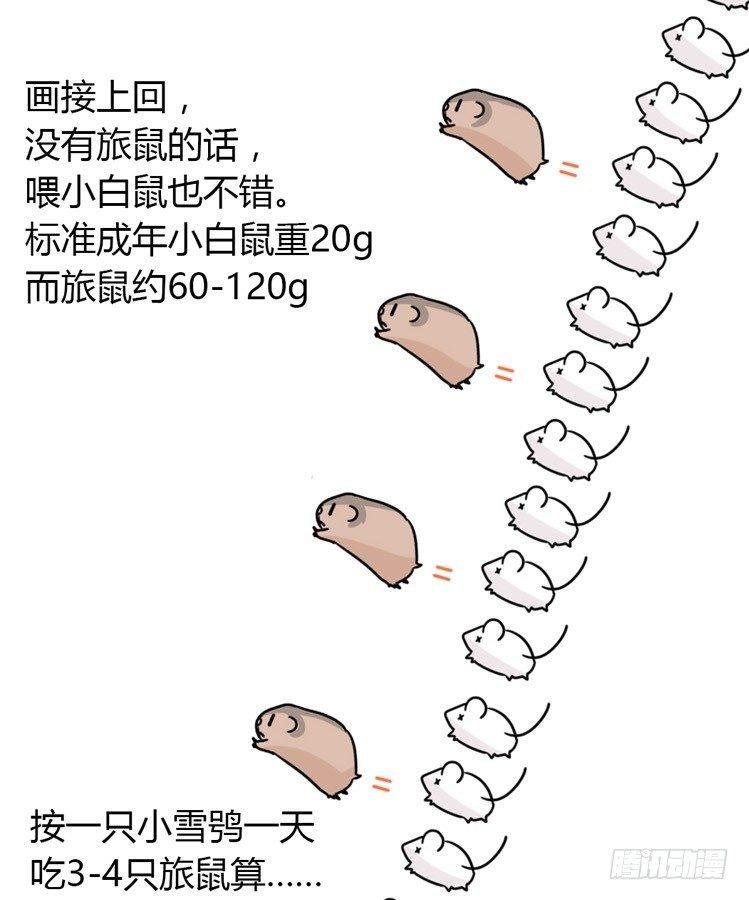 飞吧小少爷：万事开头难