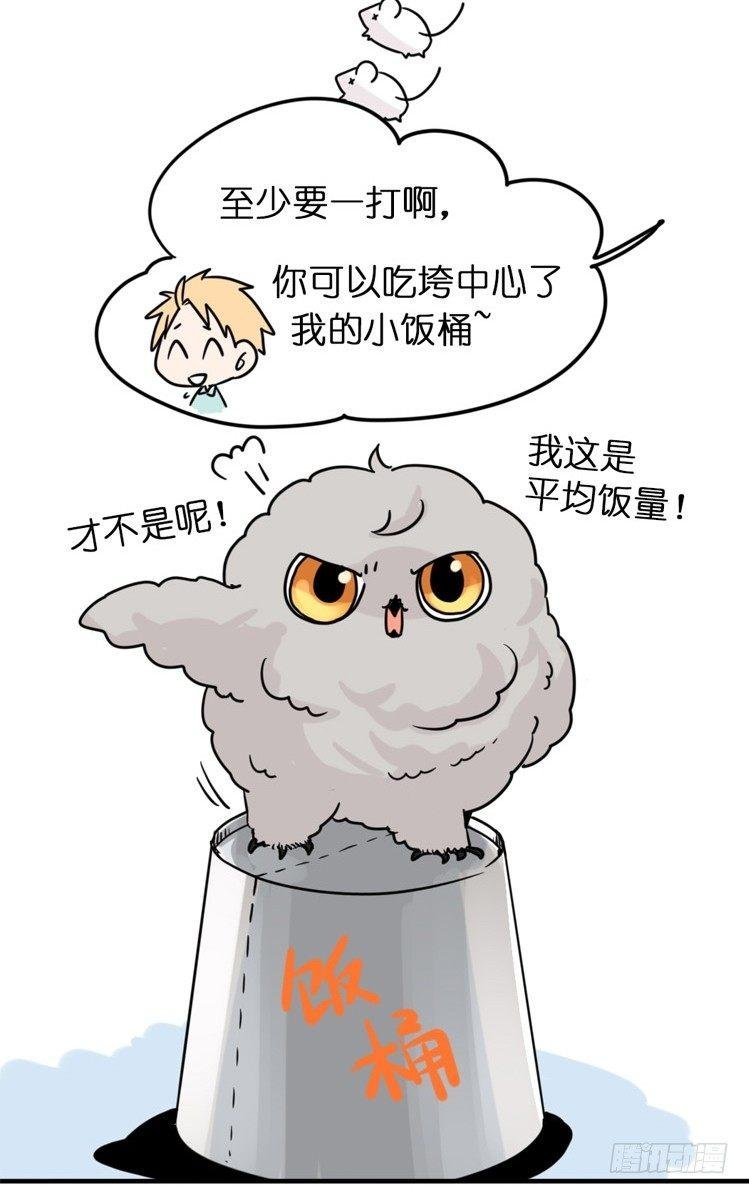 飞吧小少爷：万事开头难