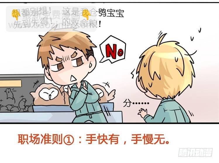 飞吧小少爷：万事开头难