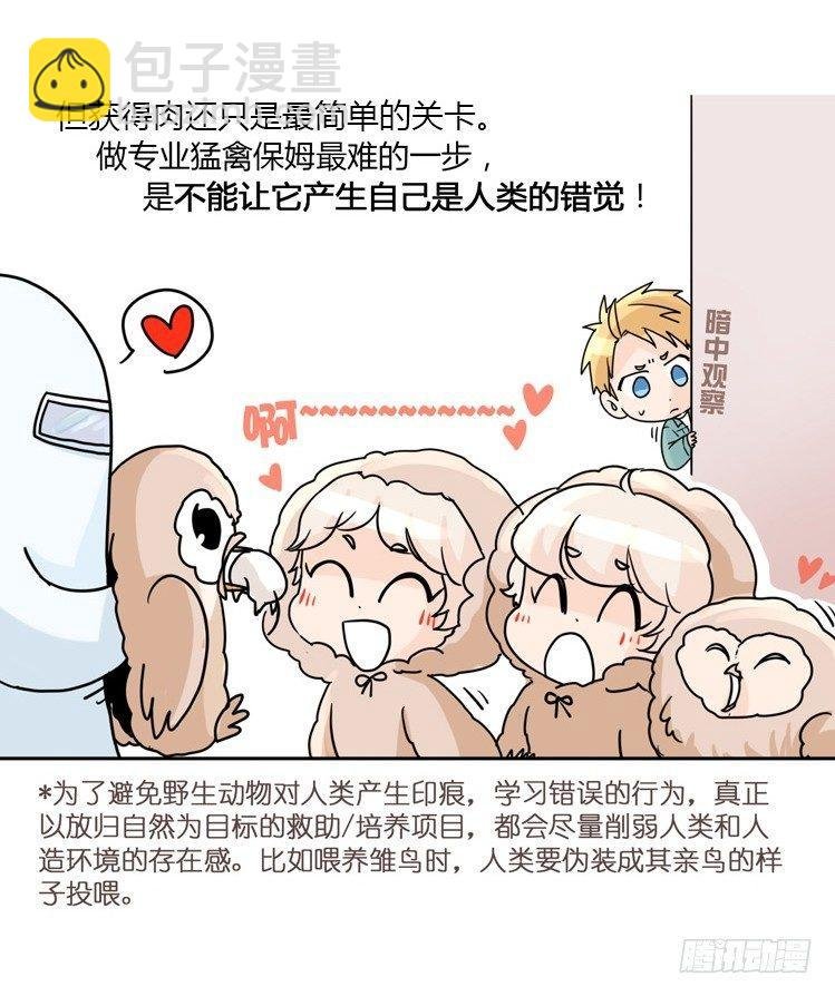 飞吧小少爷：万事开头难