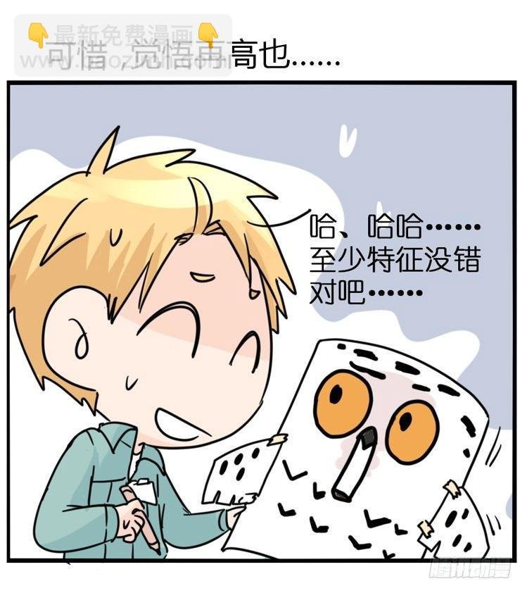 飞吧小少爷：万事开头难