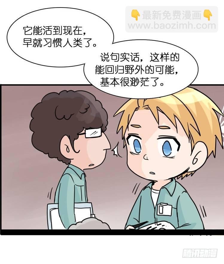 飞吧小少爷：万事开头难