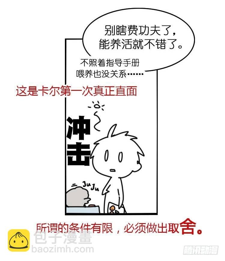飞吧小少爷：万事开头难