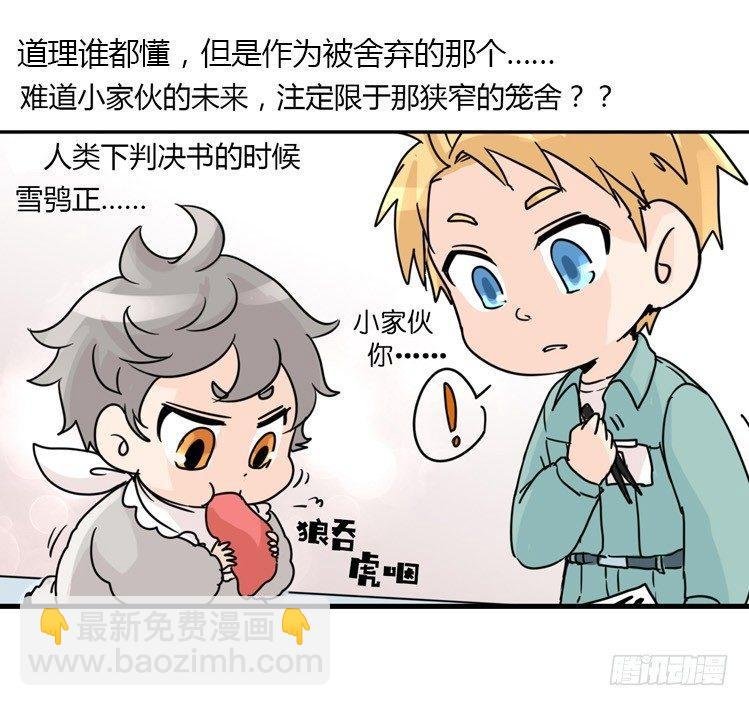 飞吧小少爷：万事开头难