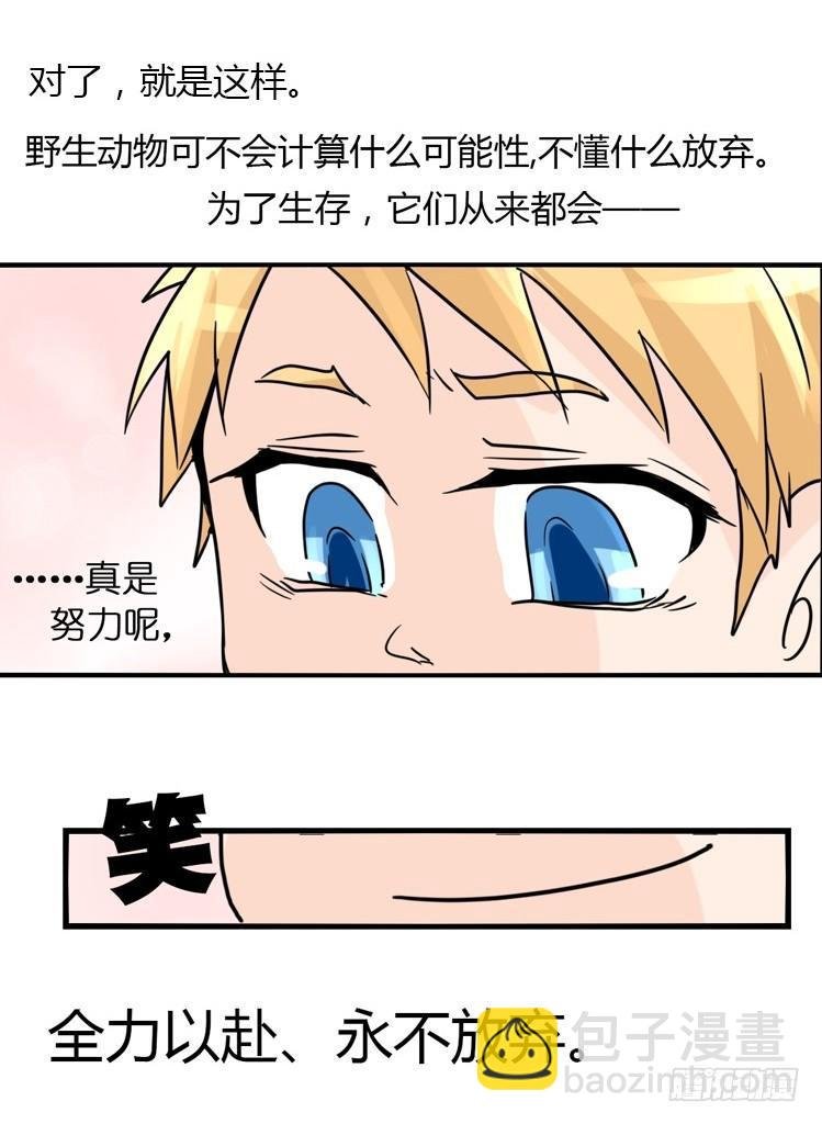 飞吧小少爷：万事开头难
