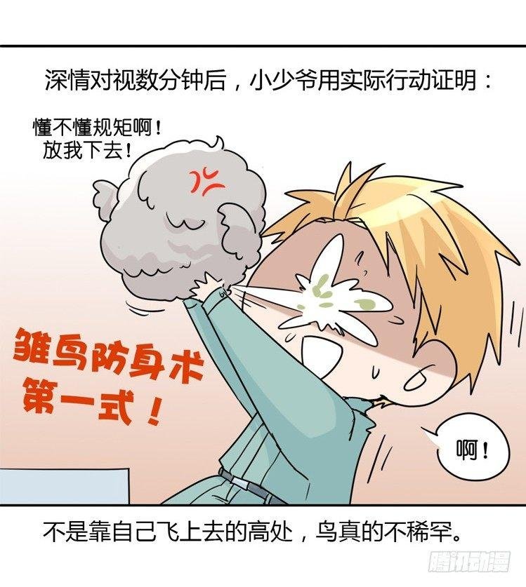 飞吧小少爷：万事开头难