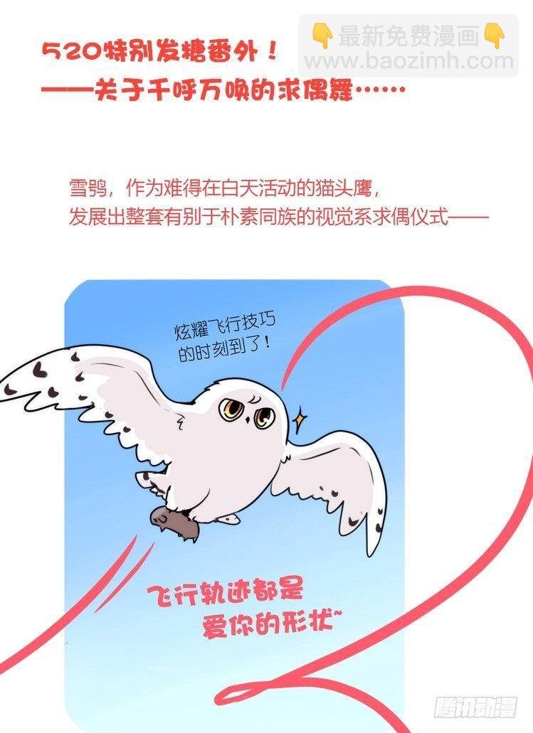 是这样的狮JI王？！05+番外