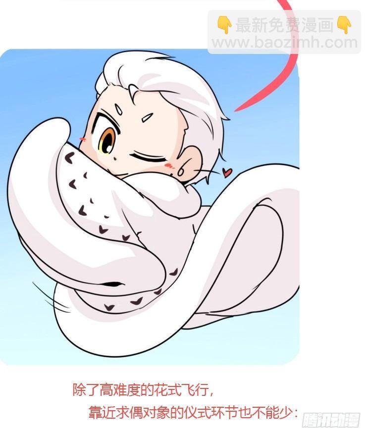 是这样的狮JI王？！05+番外
