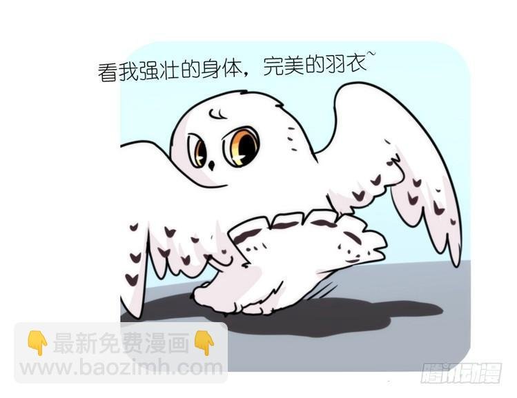 是这样的狮JI王？！05+番外