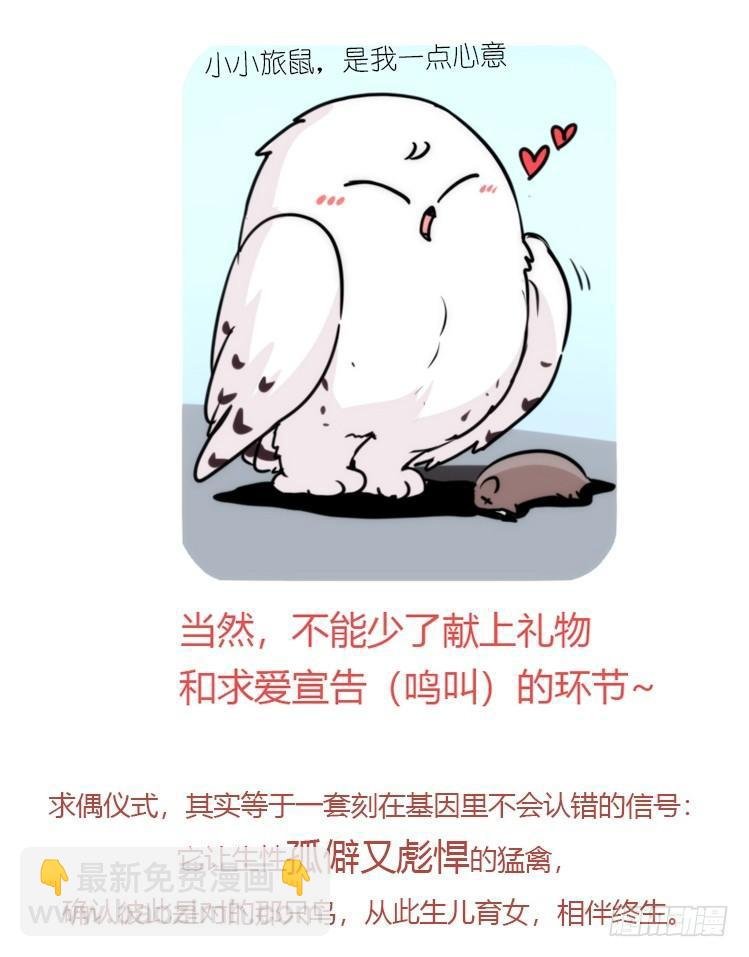 是这样的狮JI王？！05+番外