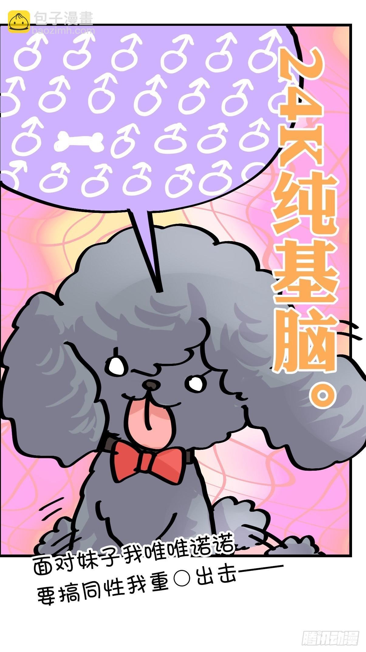 十日谈09：速度与激情·1