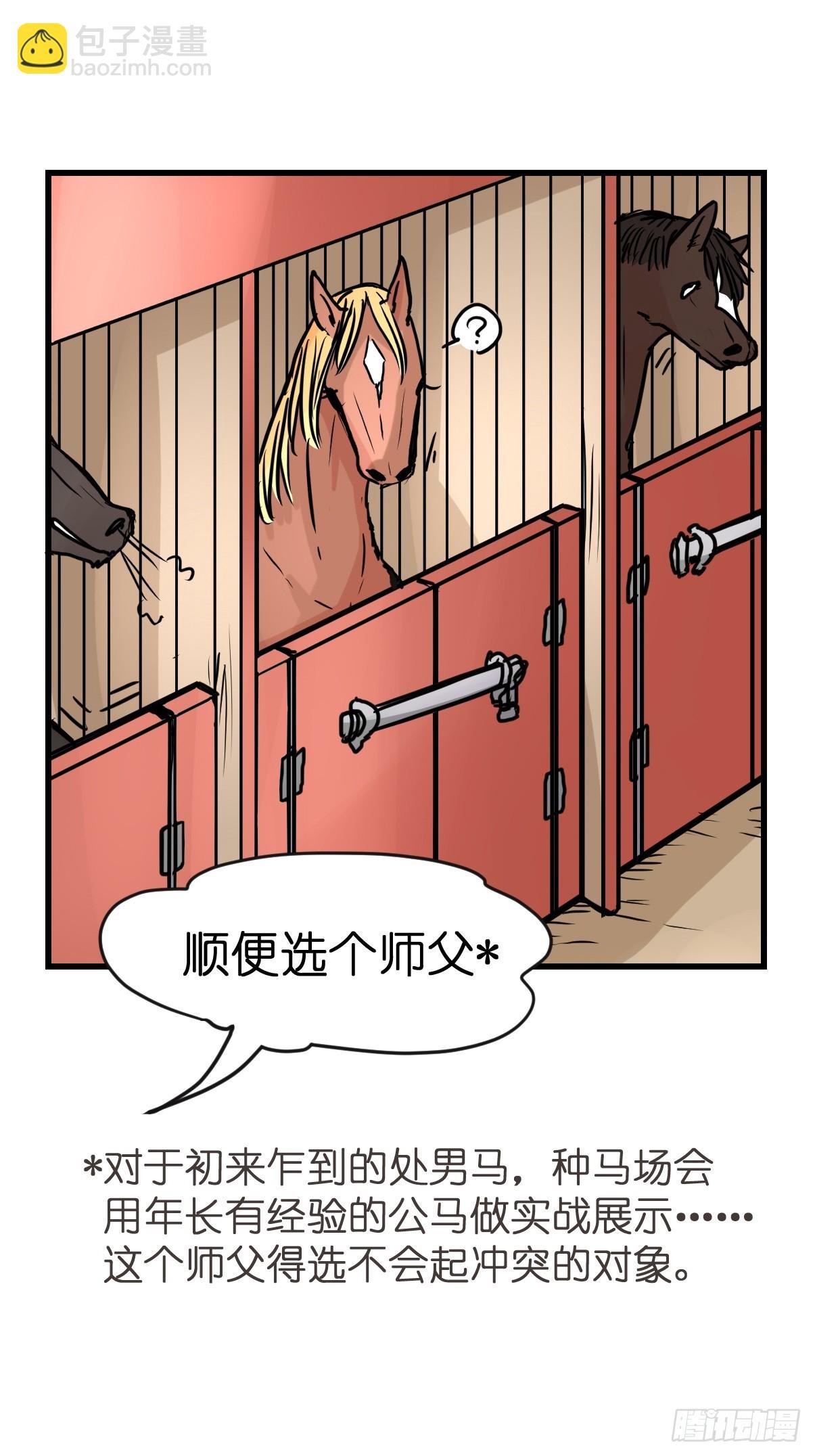 十日谈10：速度与激情·2