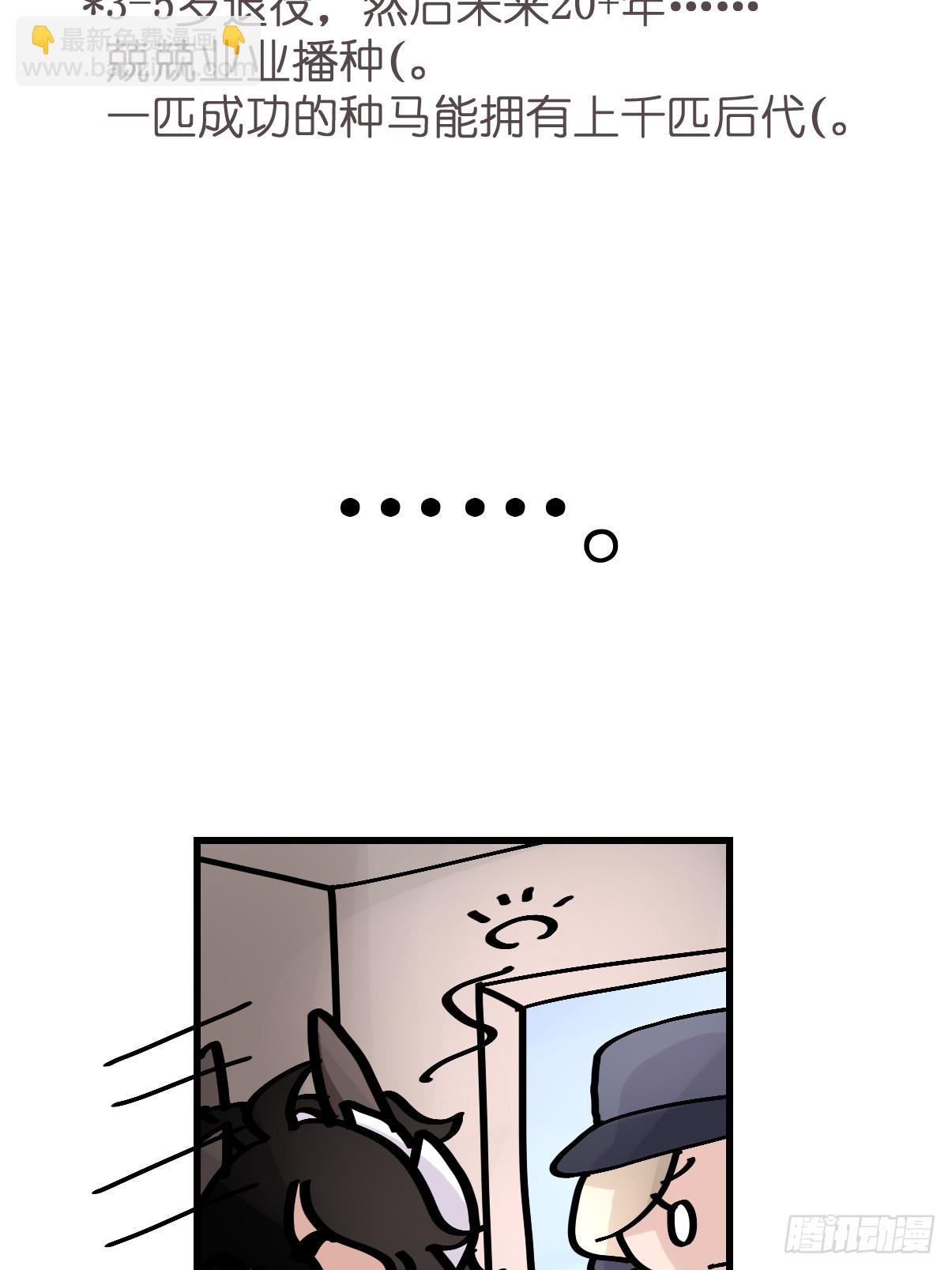 十日谈11：速度与激情·3