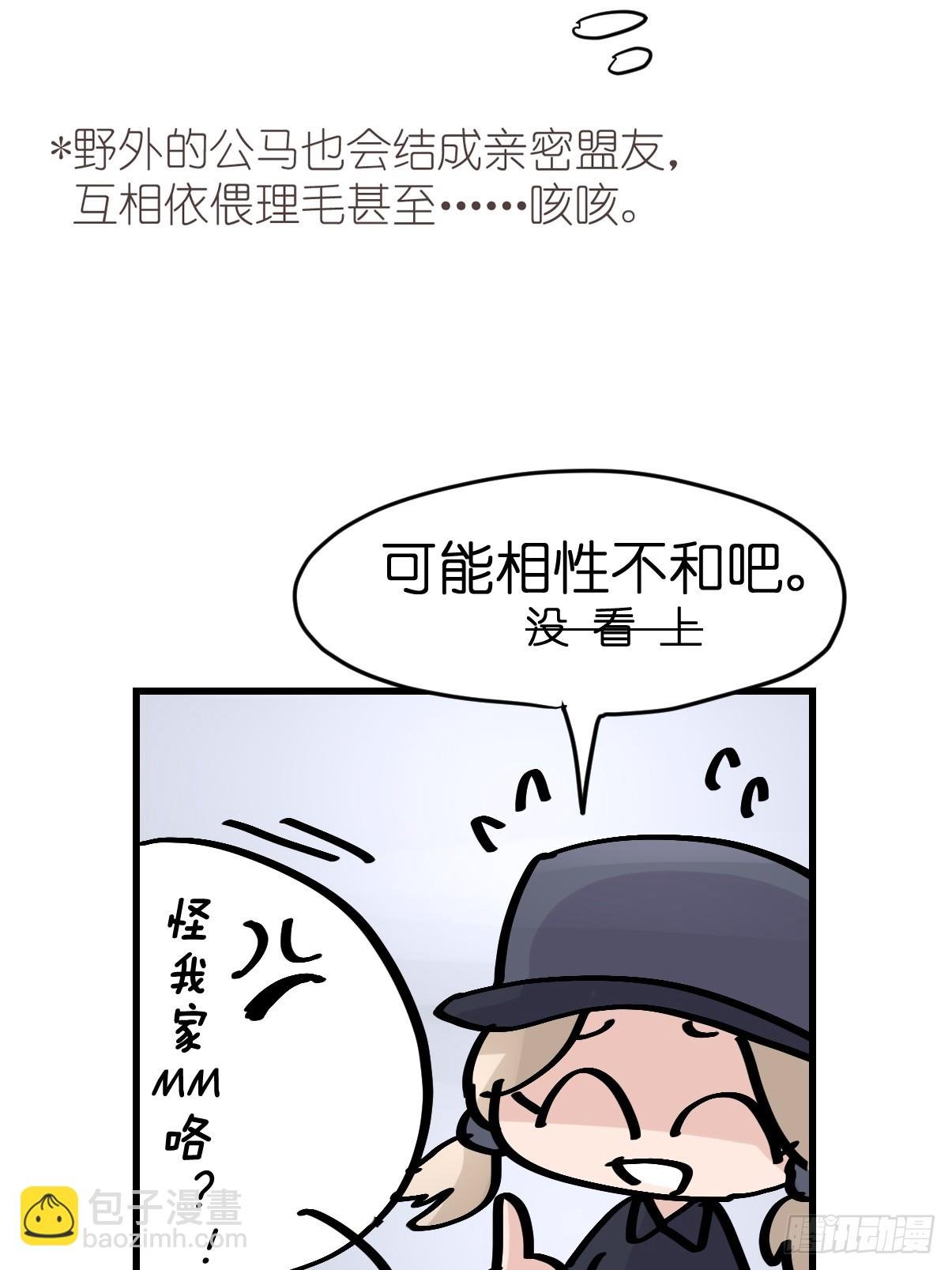 十日谈11：速度与激情·3