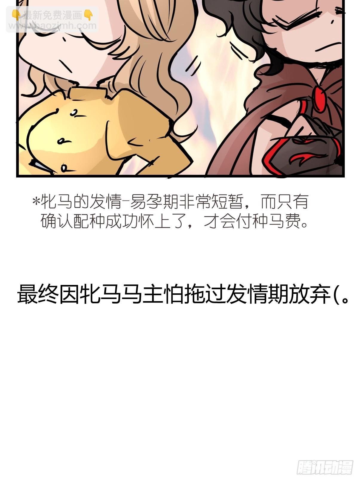 十日谈11：速度与激情·3