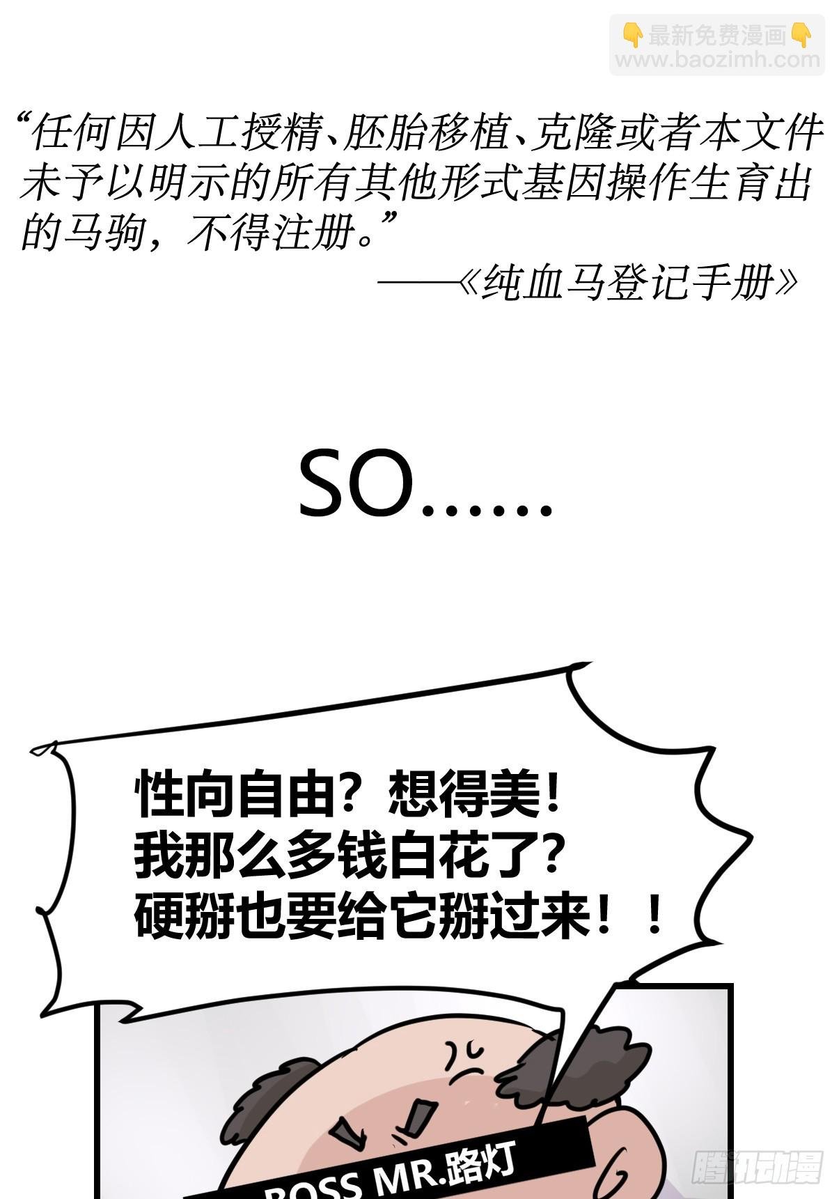 十日谈12：速度与激情·4