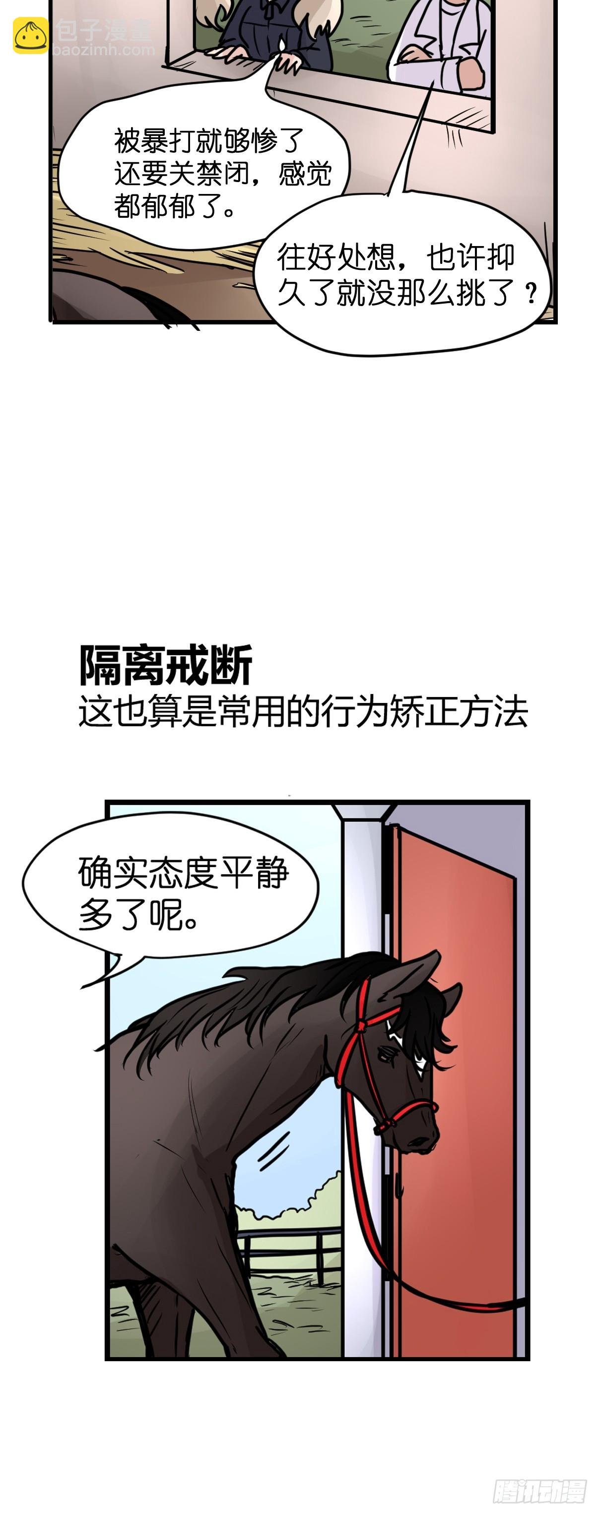 十日谈12：速度与激情·4