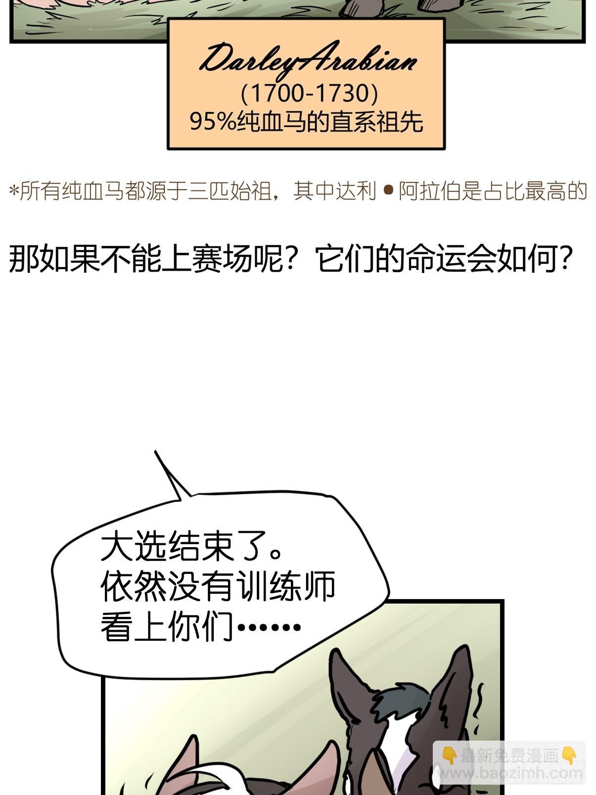 十日谈13：速度与激情·5