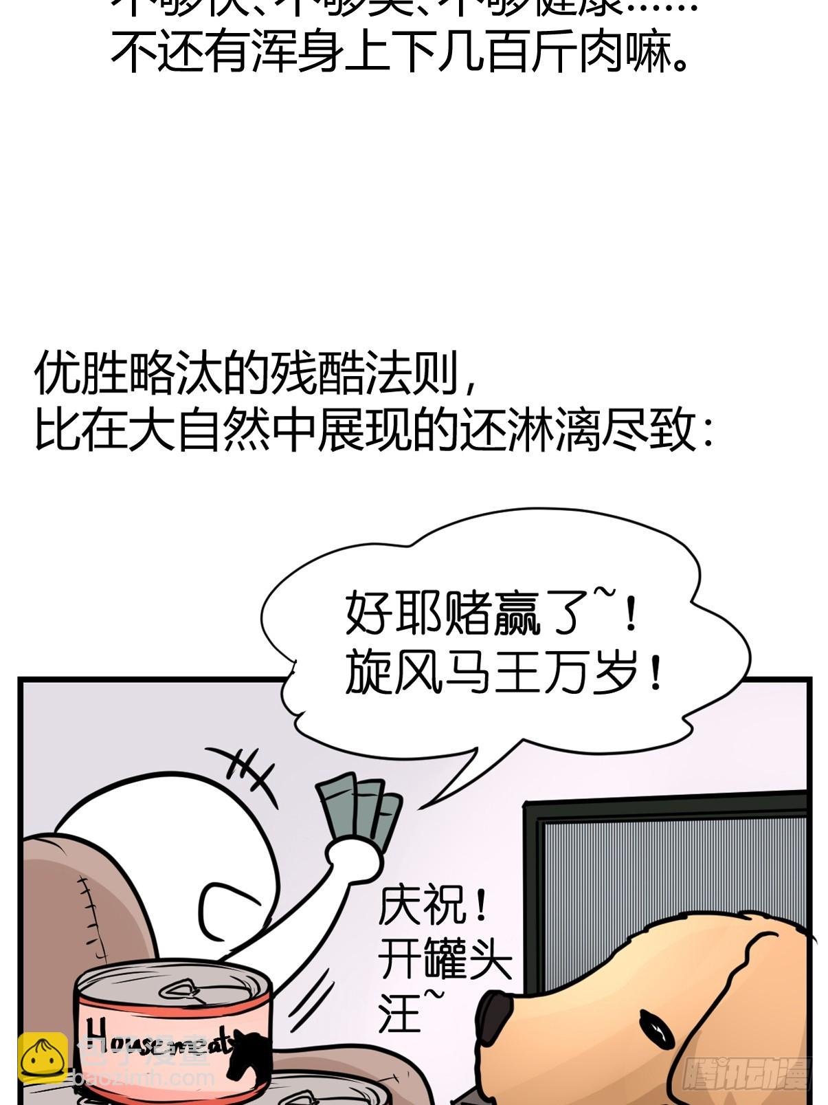 十日谈13：速度与激情·5