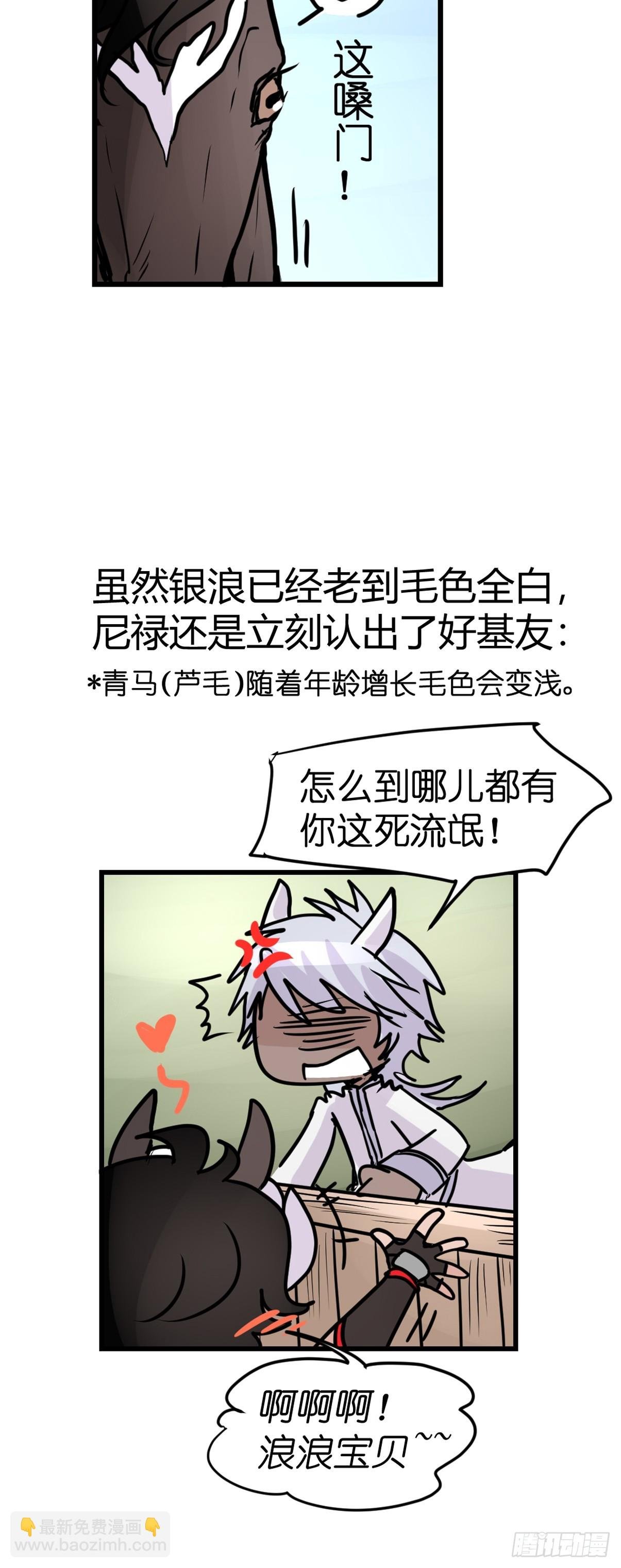 十日谈13：速度与激情·5