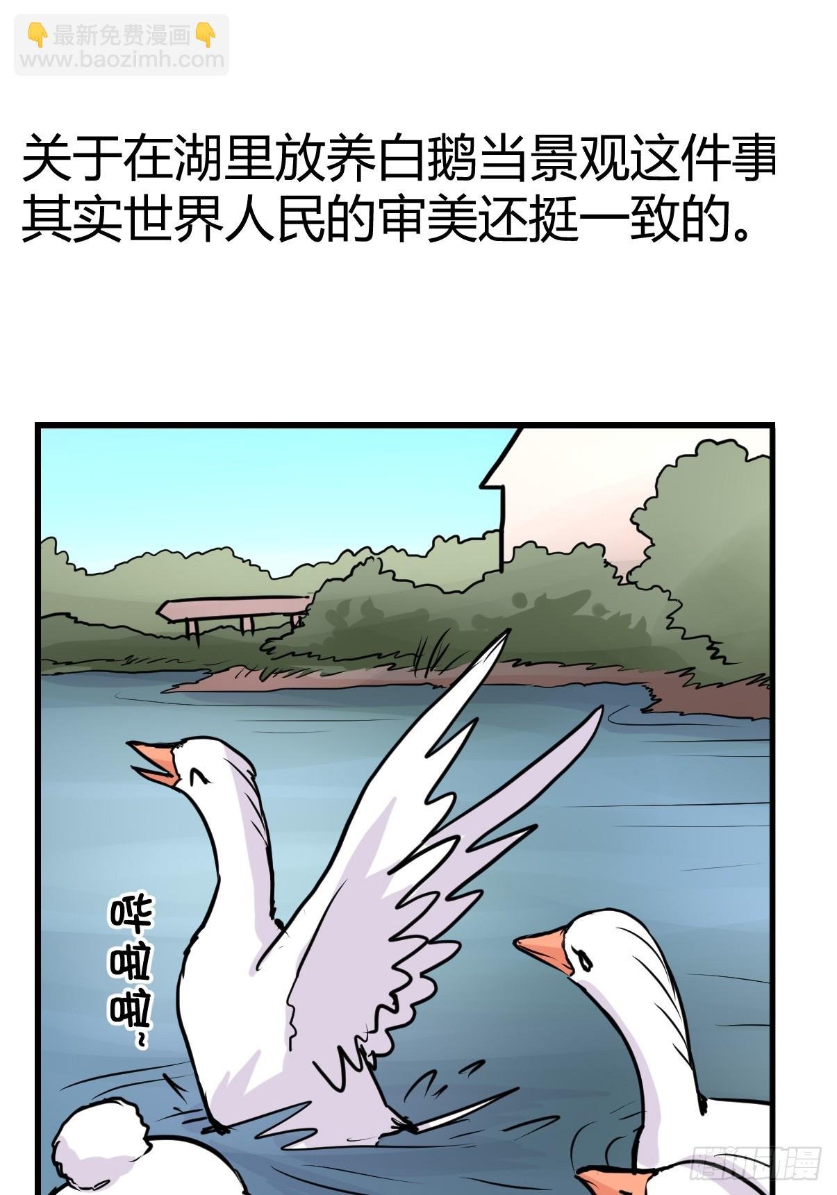 十日谈14：黑白罗曼史·1