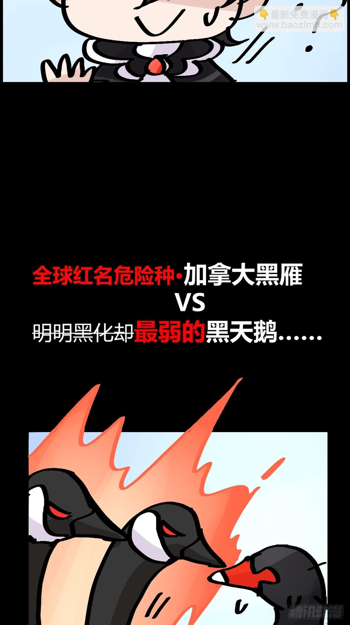 十日谈14：黑白罗曼史·1
