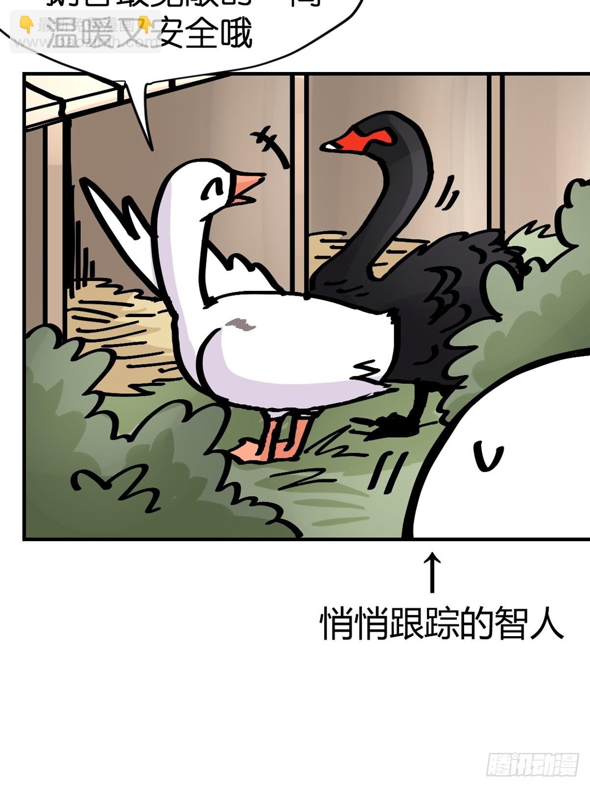 十日谈15：黑白罗曼史·2