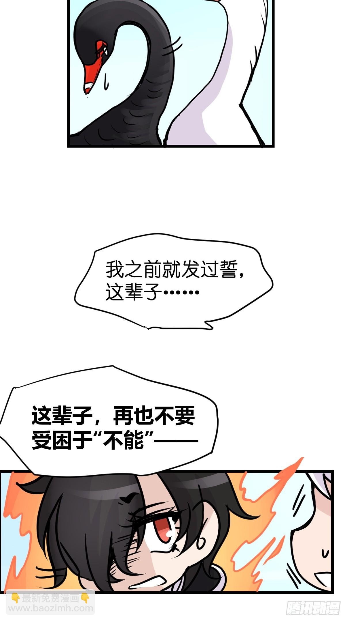 十日谈16：黑白罗曼史·3