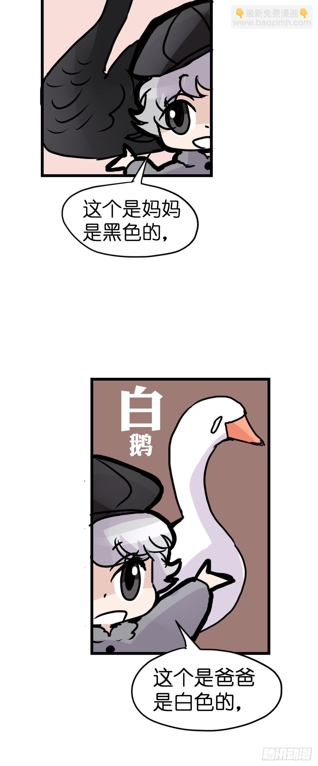 十日谈16：黑白罗曼史·3