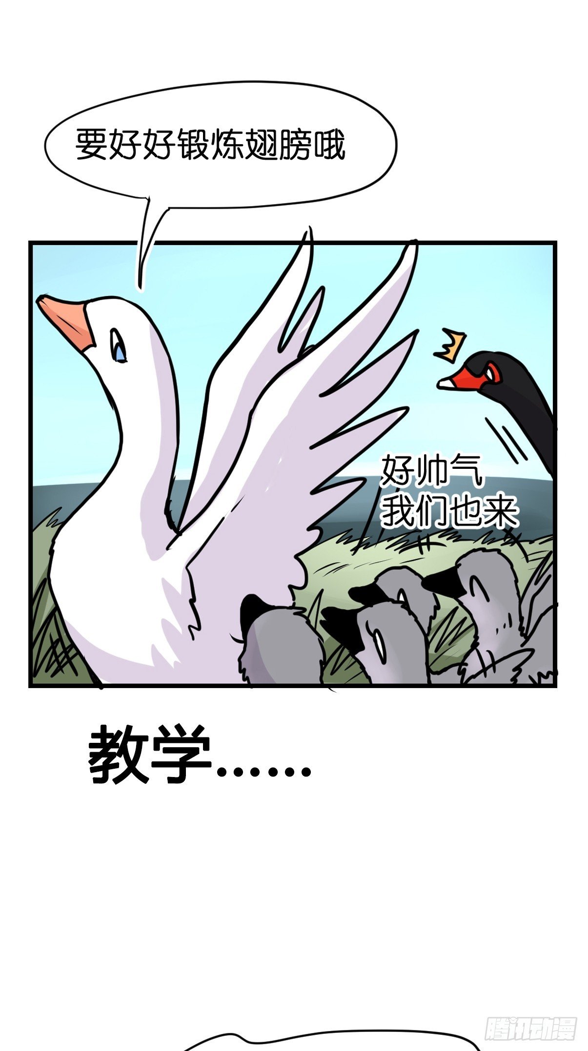 十日谈16：黑白罗曼史·3