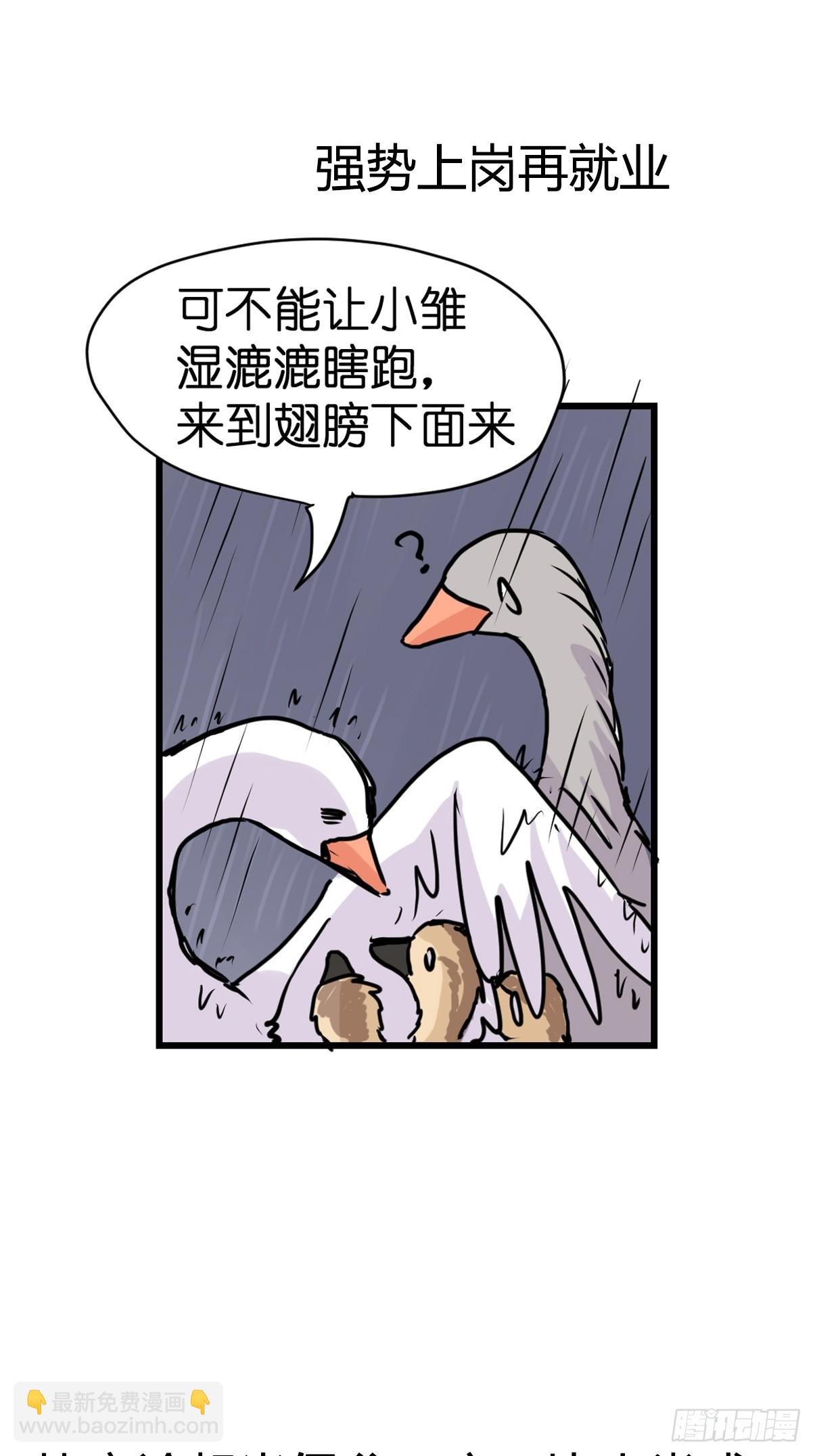 十日谈18：黑白罗曼史·5