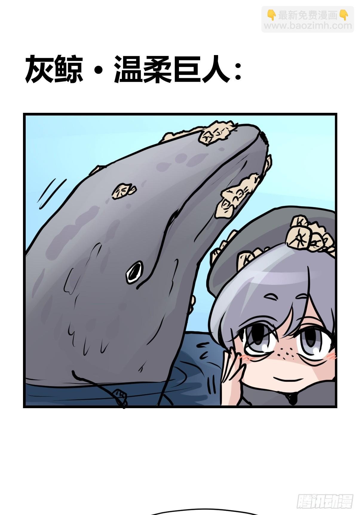 十日谈19：歌者\/骑士·1