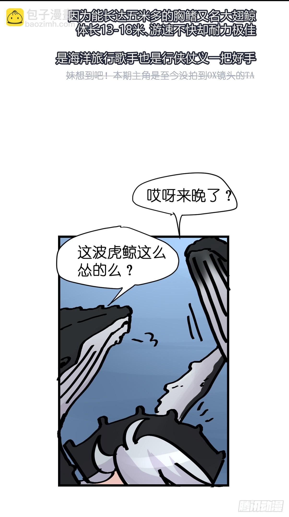 十日谈19：歌者\/骑士·1