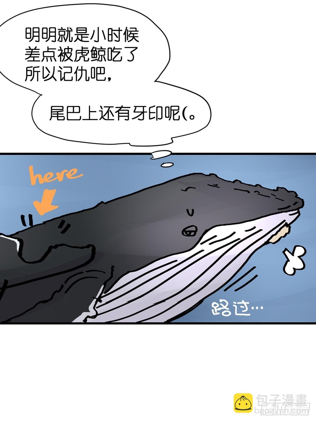 十日谈19：歌者\/骑士·1