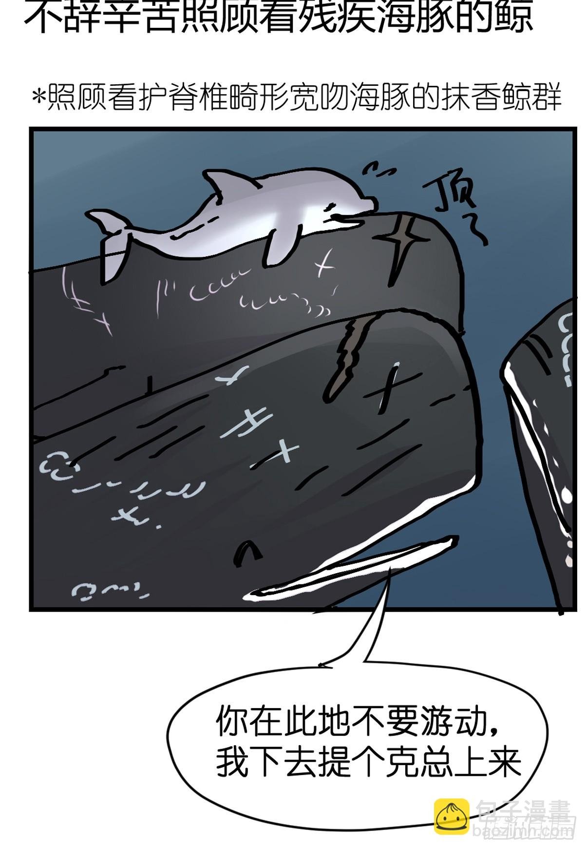 十日谈23：中场休息