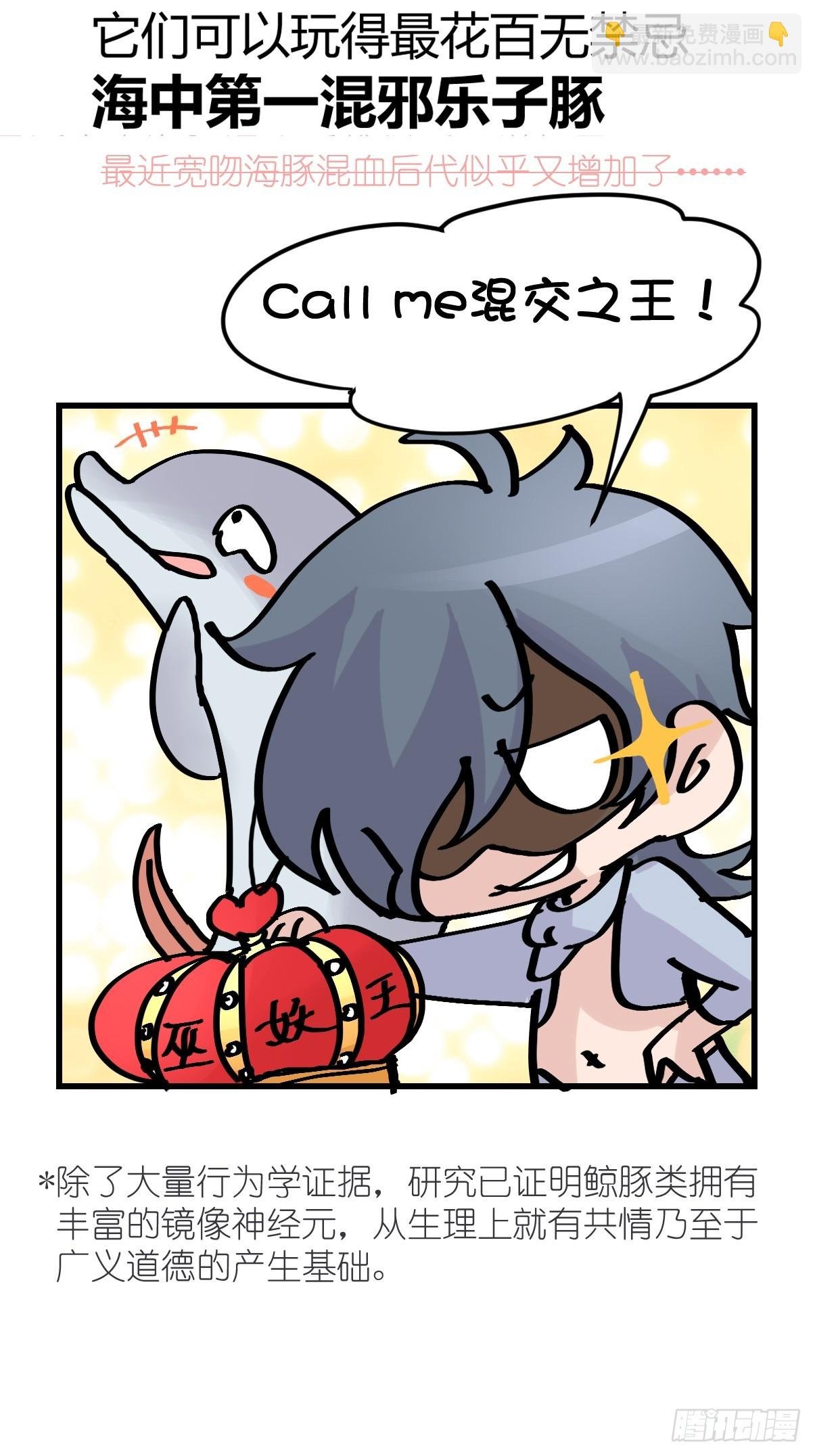 十日谈23：中场休息