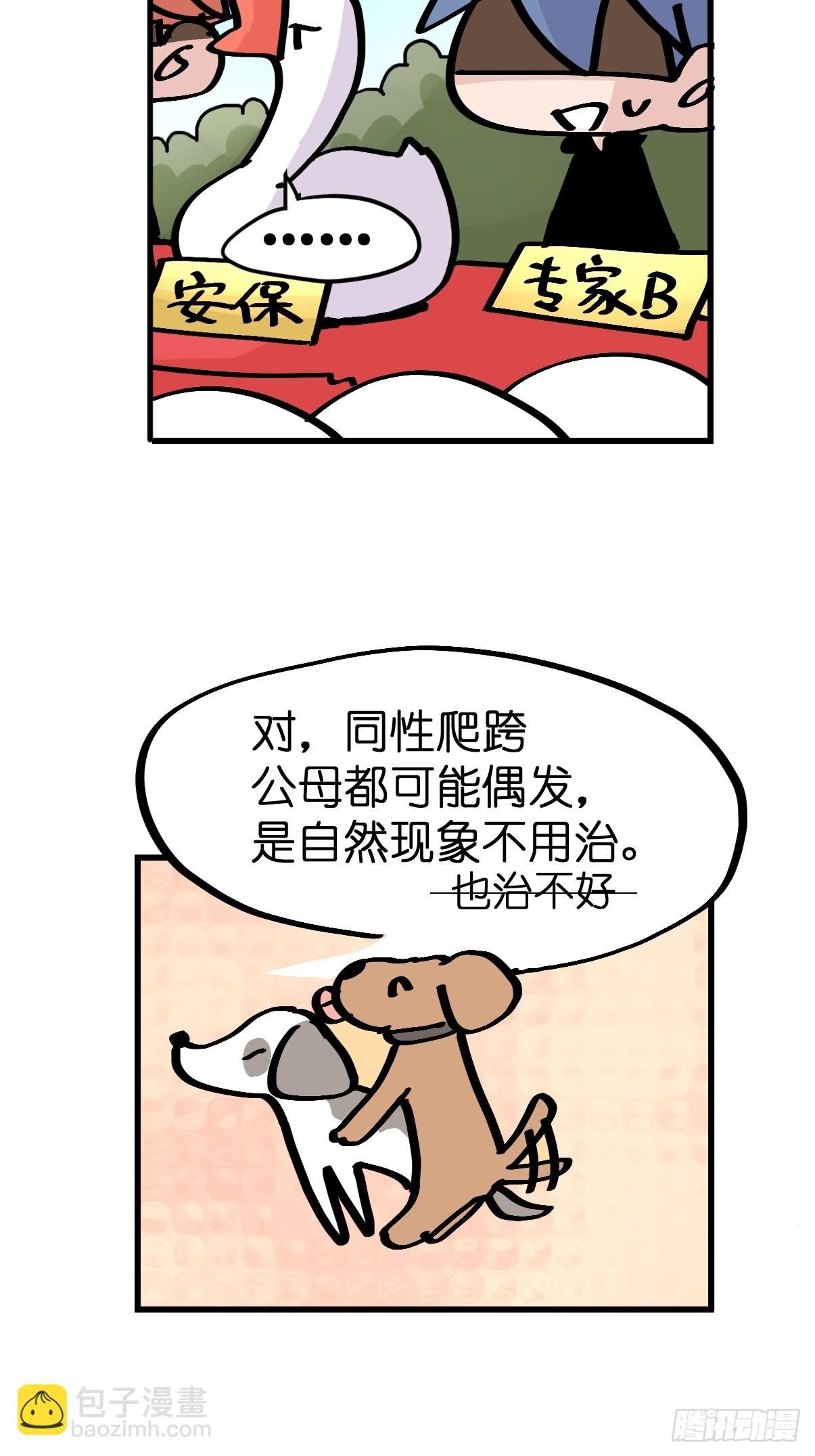 十日谈23：中场休息