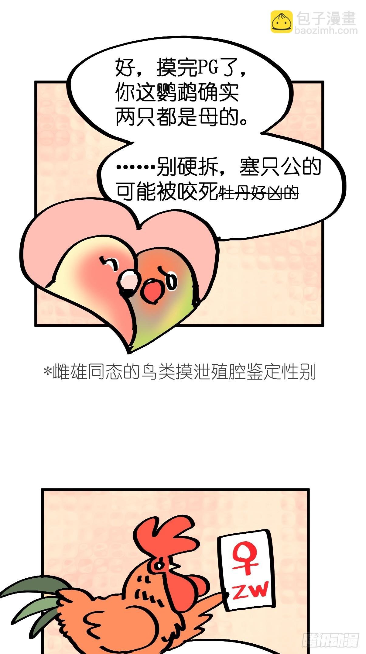 十日谈23：中场休息