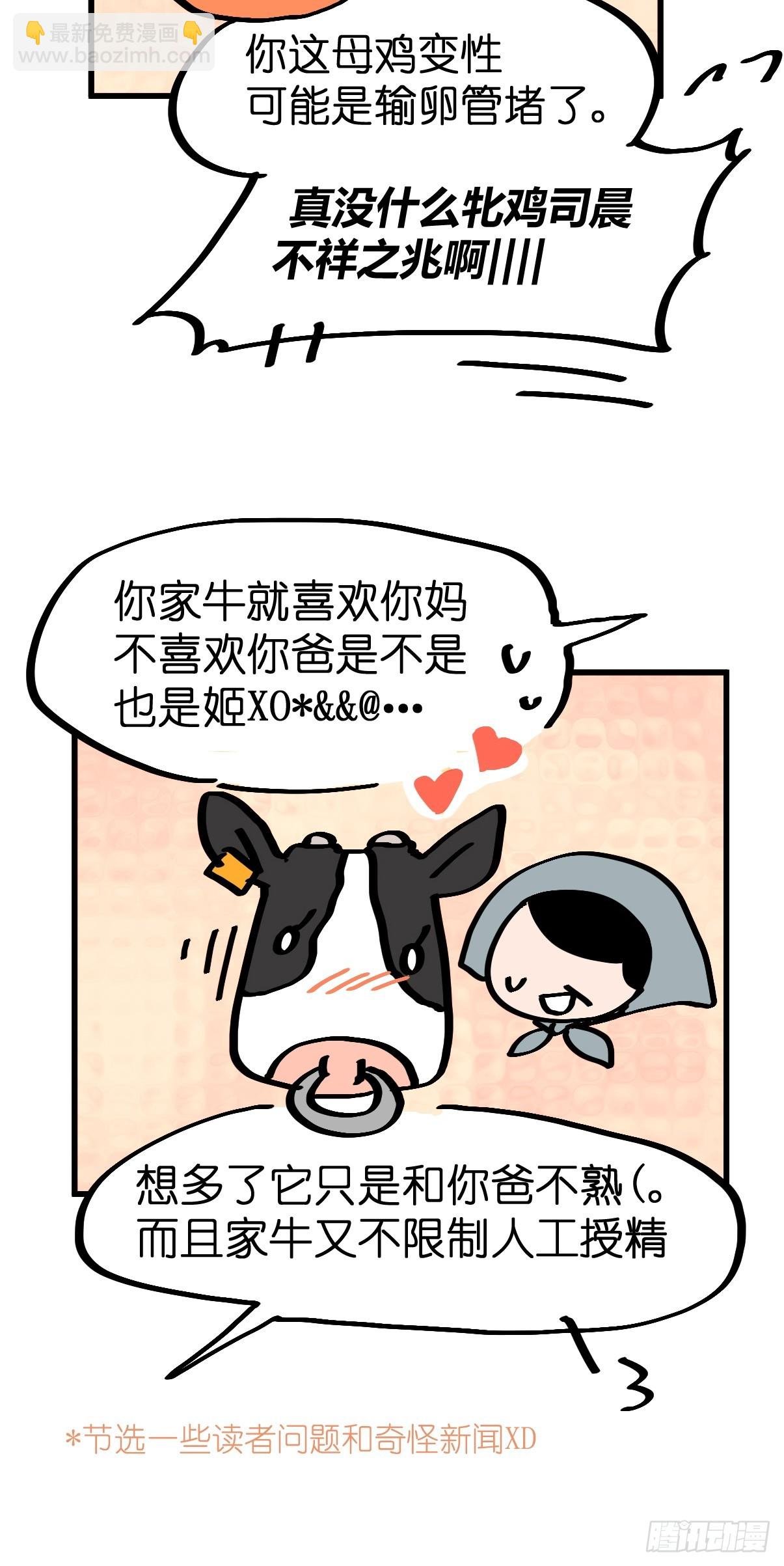 十日谈23：中场休息