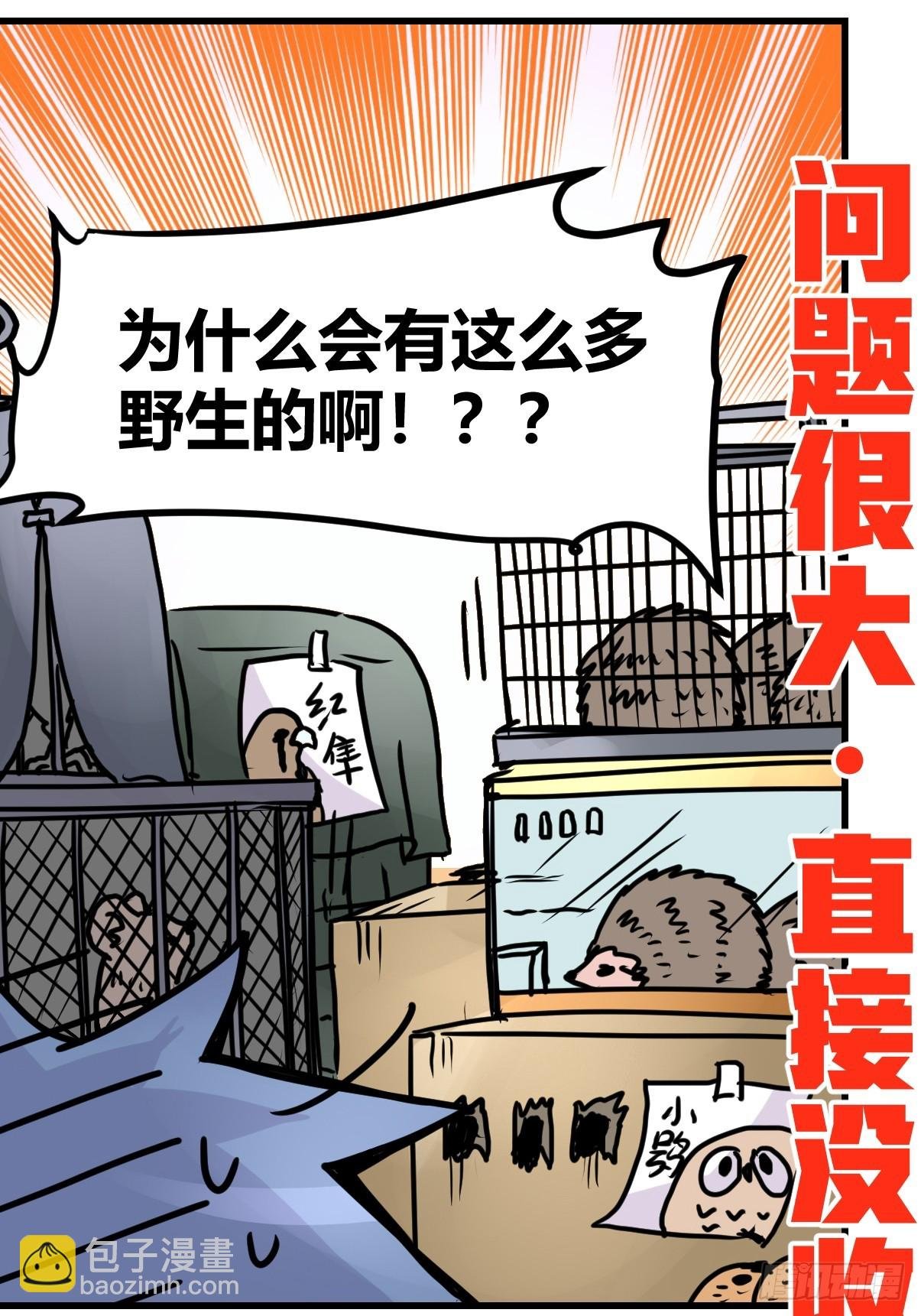 十日谈23：中场休息