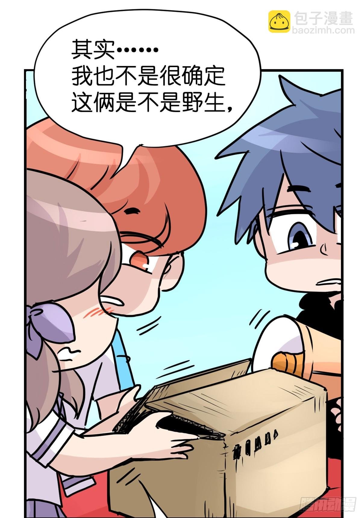 十日谈23：中场休息