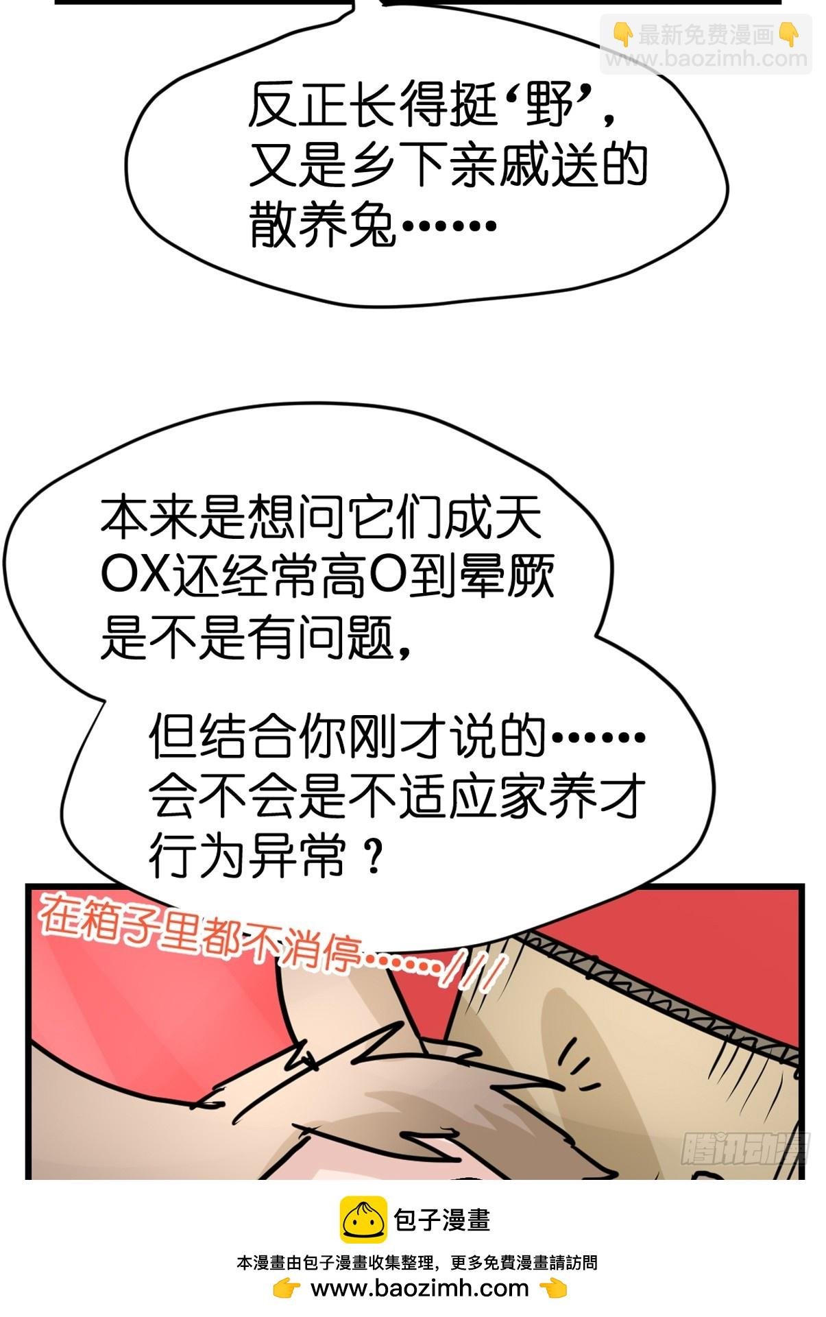 十日谈23：中场休息