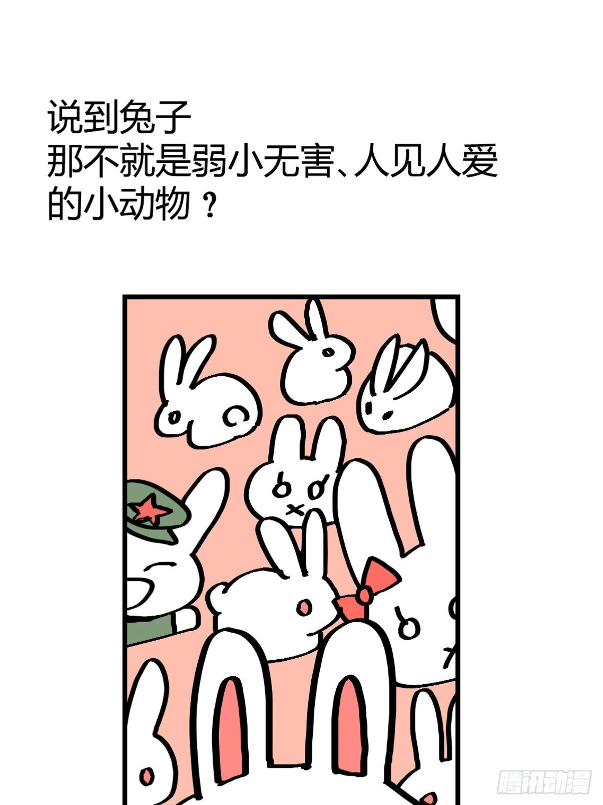 十日谈24：兔年说兔·1