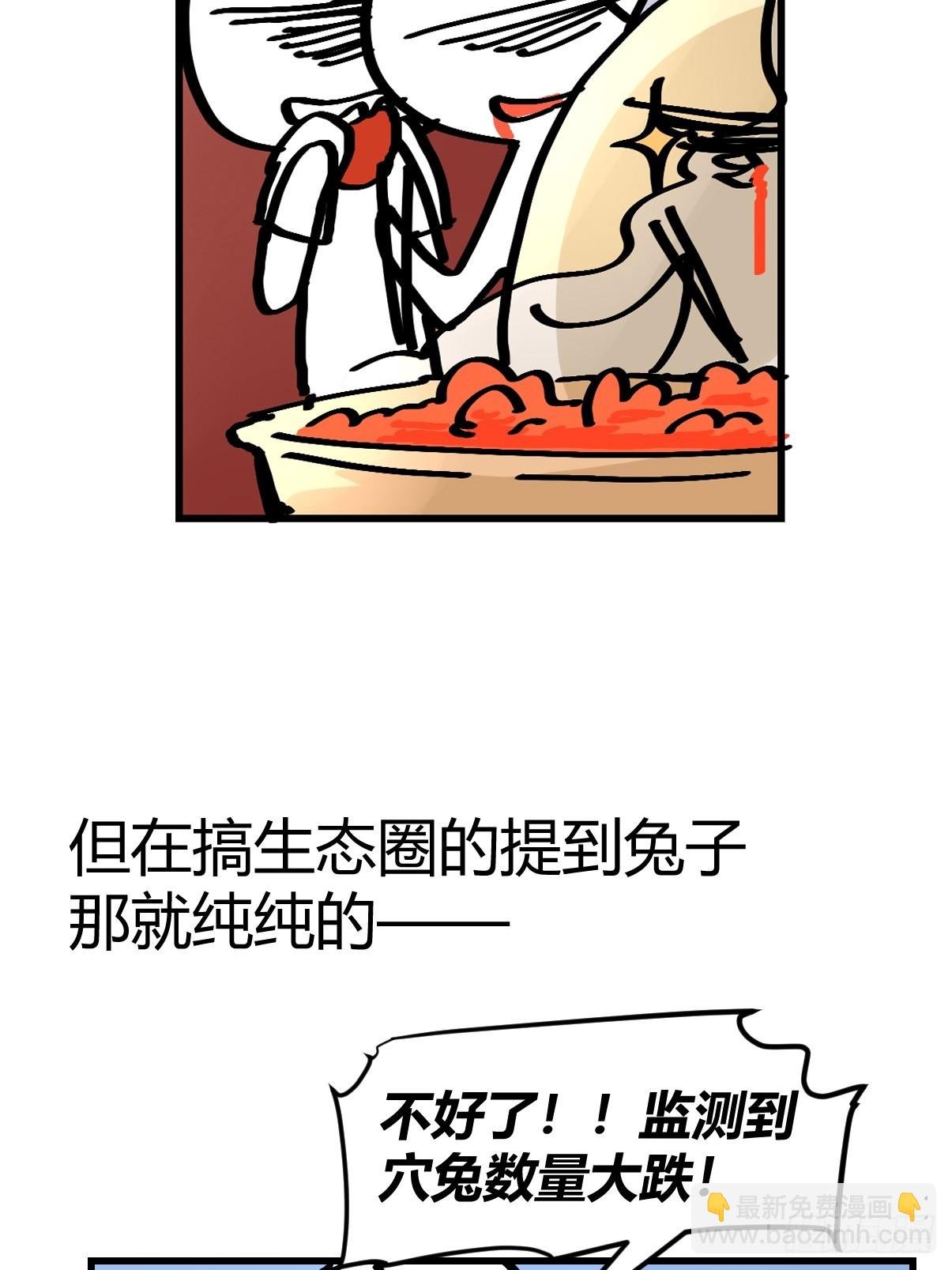 十日谈24：兔年说兔·1