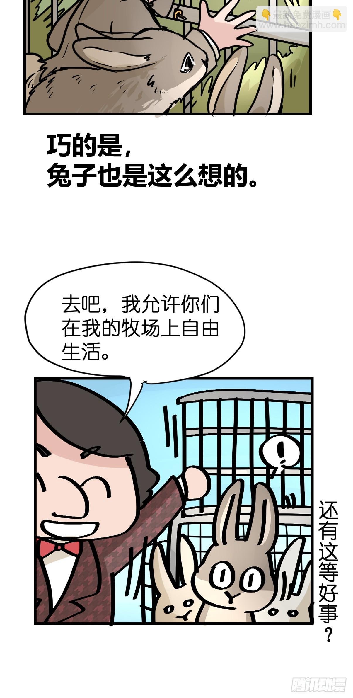 十日谈24：兔年说兔·1