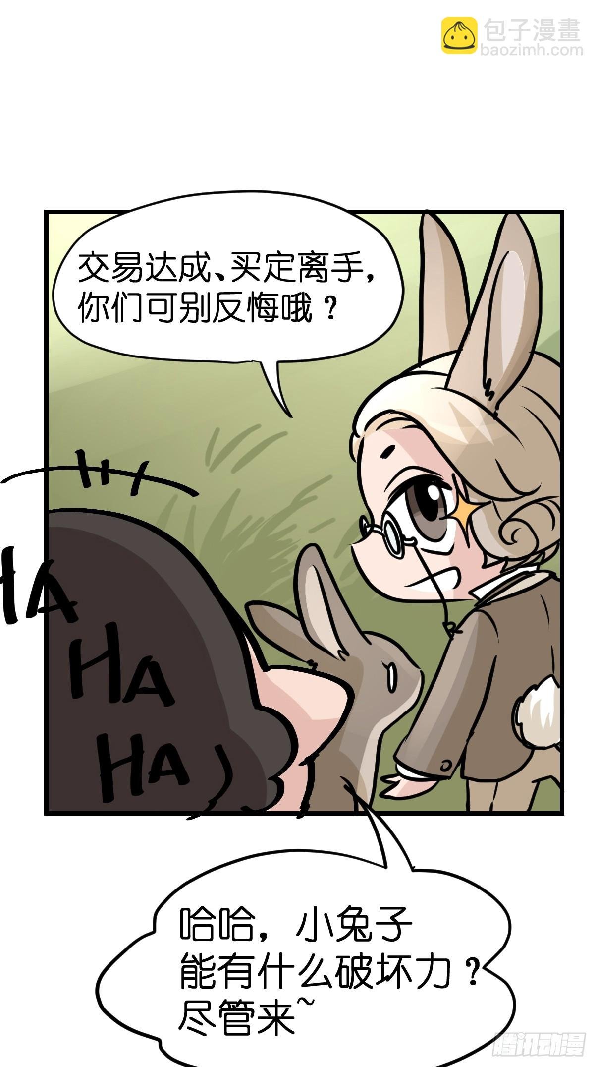 十日谈24：兔年说兔·1