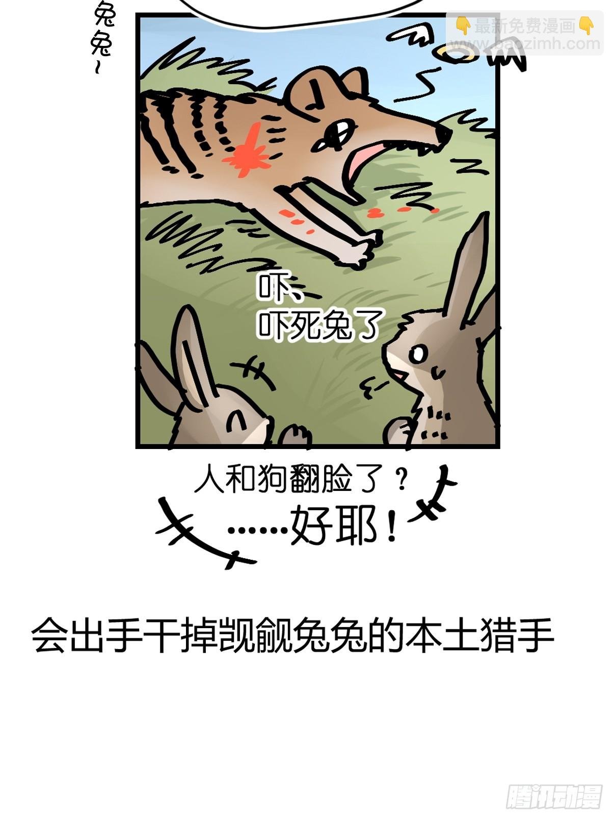 十日谈24：兔年说兔·1