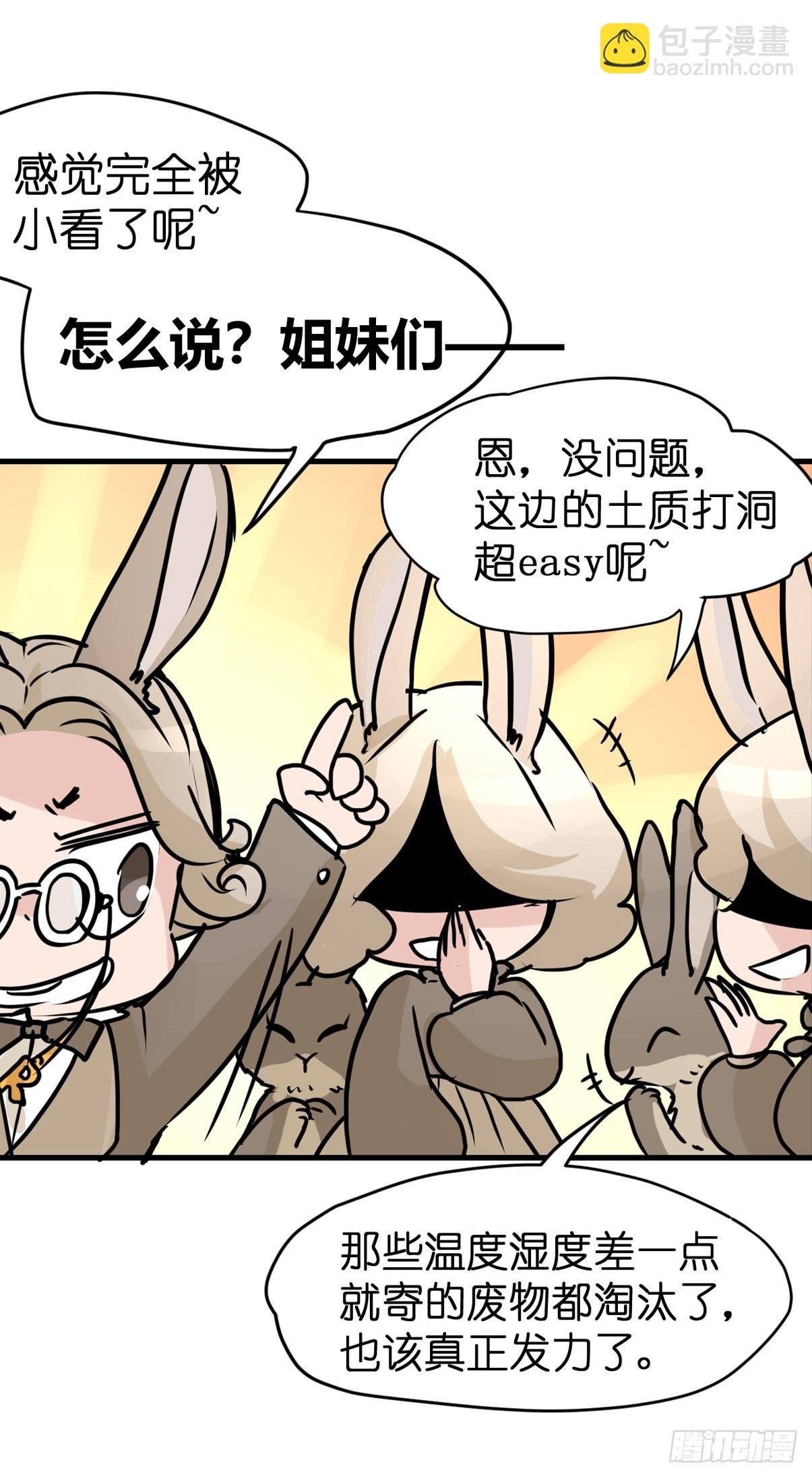十日谈24：兔年说兔·1