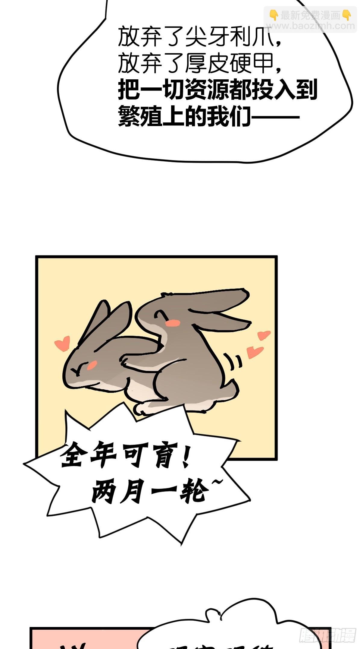 十日谈24：兔年说兔·1